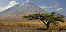 Tanzania Conservation project